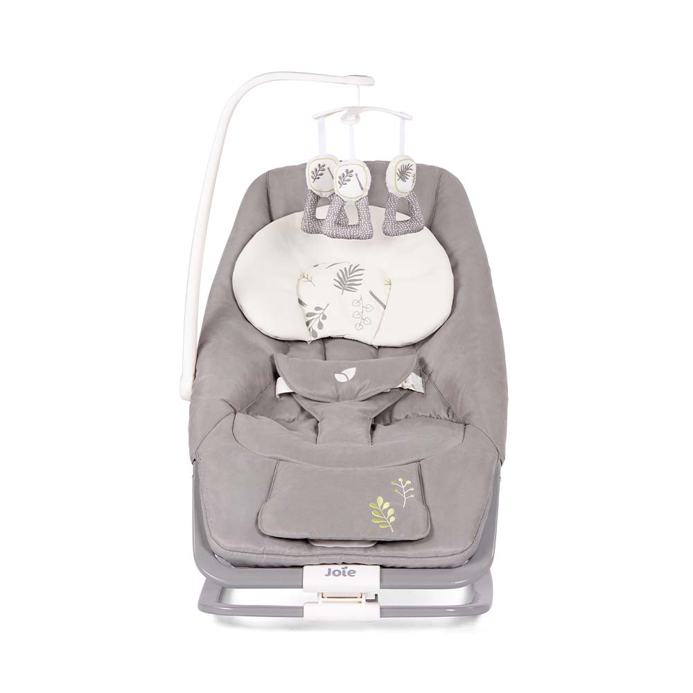 B1207BAFRN000_DREAMER_FERN_2