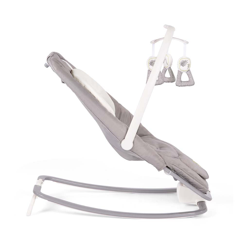 B1207BAFRN000_DREAMER_FERN_3