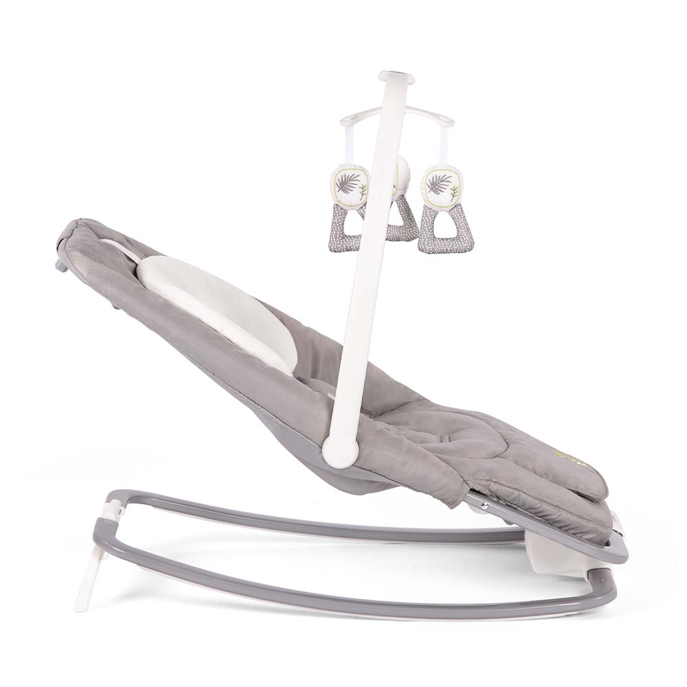 B1207BAFRN000_DREAMER_FERN_4